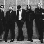 Suede  by Dean Chalkley